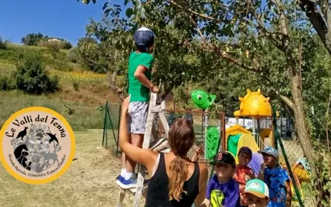 Bambini partecipano a un'attività fattoria didattica, raccogliendo frutti da un albero.
