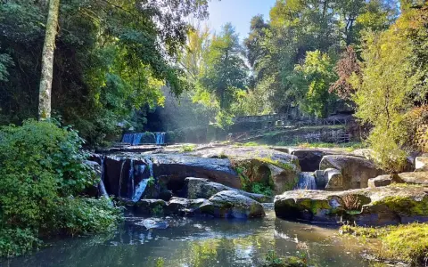 Cascata e rocce muschiose in un bosco lussureggiante, un angolo incantevole della Tuscia Viterbese baciato dal sole.