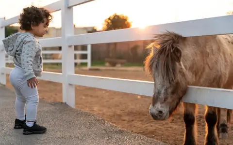 Bambina curiosa osserva un pony dietro una staccionata. Un'esperienza indimenticabile tra animali in Lombardia al tramonto.