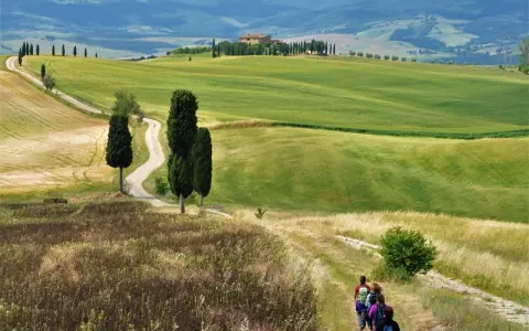 Un gruppo di escursionisti vive le **esperienze Val d'Orcia** su un sentiero tra colline verdi e cipressi, con una casa colonica in lontananza.