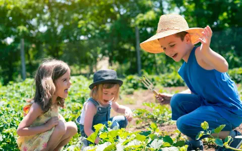Bambini felici in un orto, un'esperienza divertente nelle fattorie per bambini nelle Marche.
