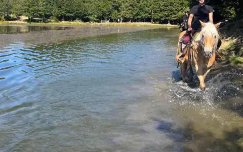 Cavalli che guadano un lago durante una passeggiata a cavallo a Reggio Emilia, con alberi sullo sfondo.