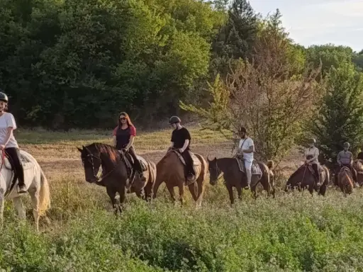 Un gruppo di persone vive un'emozionante passeggiata a cavallo nelle Marche, tra colline verdi e campi dorati.