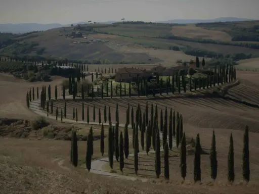 Un casale nel Val d'Orcia autunno, circondato da cipressi che disegnano curve sinuose su dolci colline.