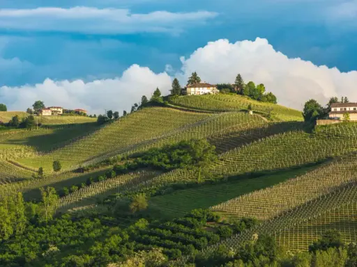 Dolci colline con vigneti ordinati e case in cima, un paesaggio da sogno per un agricampeggio in Piemonte.