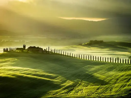 Dolci colline verdi illuminate dal sole del mattino, con un casale e un viale di cipressi che invitano a una vacanza in Val d'Orcia.