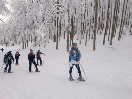 Gruppo di escursionisti con racchette da neve nel bosco innevato dell'Amiata, godendosi una giornata di sci e natura.