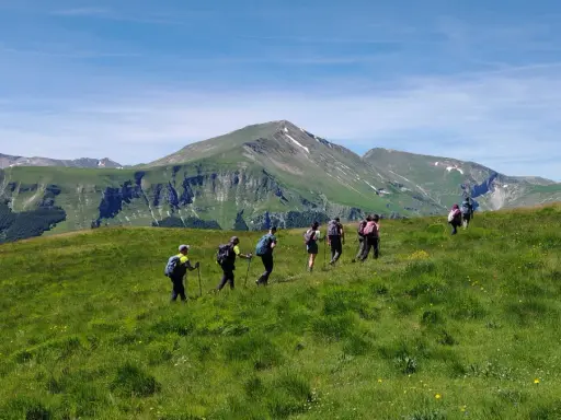Un gruppo di escursionisti cammina su un prato verdeggiante con montagne sullo sfondo. Le Marche offrono panorami mozzafiato per le escursioni.