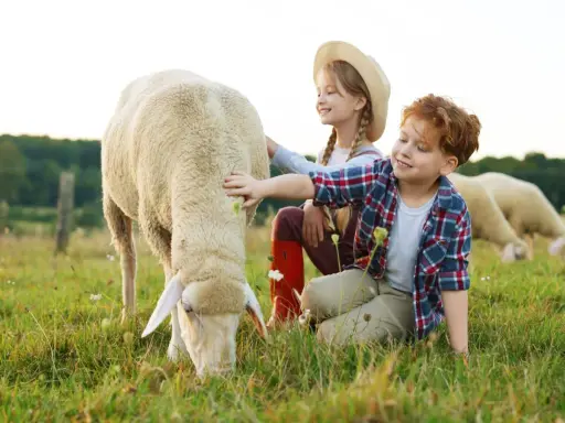 Bambini accarezzano pecore in una fattoria con animali. Un momento di gioia nella natura.