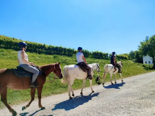 Tre persone in sella a cavalli, godendosi una passeggiata a cavallo in Veneto tra vigneti e colline verdi sotto un cielo azzurro.