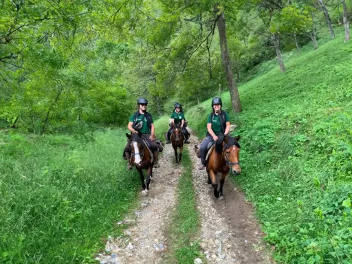 Persone in sella a cavalli durante una passeggiata a cavallo nel Cuneese, immersi nel verde di un bosco.