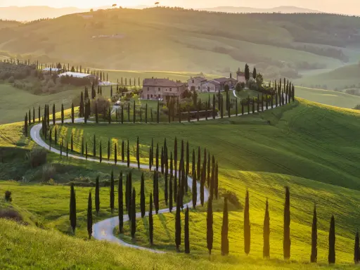 Colline ondulate del Val d'Orcia, cipressi lungo una strada tortuosa, un casale in pietra. Perfetto per cosa vedere in 3 giorni.