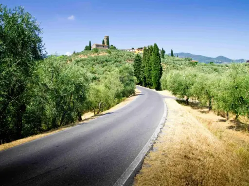 Strade del vino toscana: una curva su un asfalto grigio, circondata da ulivi e cipressi, con un borgo in collina.