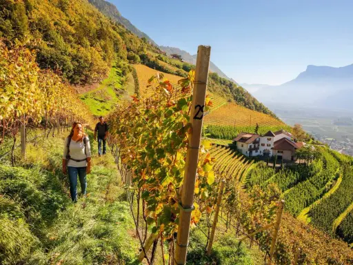 Coppia passeggia tra i vigneti autunnali verso un maso gallo rosso, con montagne sullo sfondo.