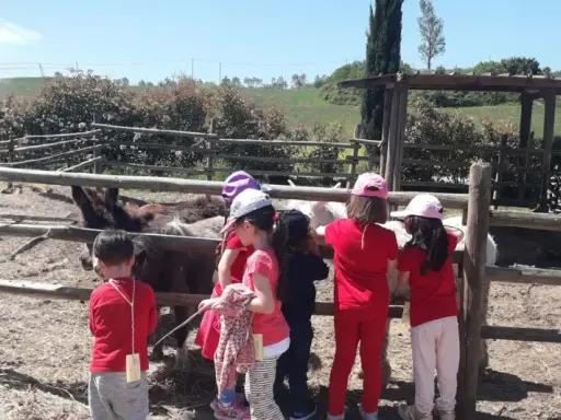 Bambini in visita a una fattoria vicino Firenze, osservano curiosi gli asini e altri animali nel recinto.