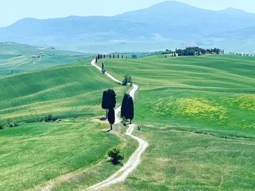 Un sentiero serpeggia tra le dolci colline verdi della Val d'Orcia, ideale per un indimenticabile trekking.