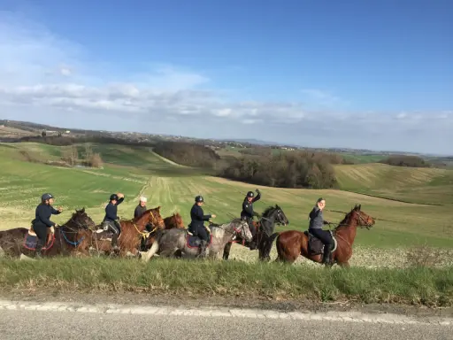 Un gruppo di persone in sella a cavalli attraversa un paesaggio collinare verdeggiante, godendosi le loro vacanze a cavallo sotto un cielo azzurro.