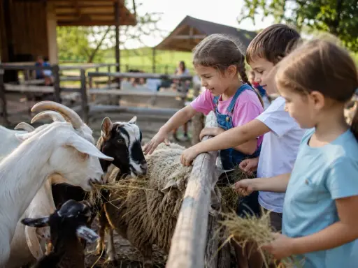 Bambini felici che danno da mangiare a capre e pecore in un agriturismo, un luogo ideale con animali per bambini.