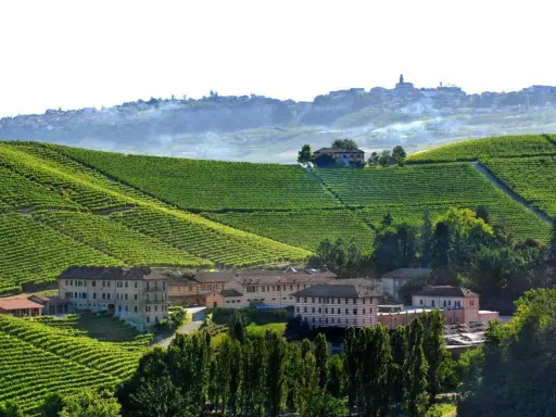 Agriturismi in Piemonte, Langhe: vigneti a perdita d'occhio e borghi collinari. Un paesaggio da sogno.