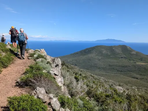 Persone in cammino su sentiero panoramico, godendosi le camminate organizzate in Toscana con vista sul mare e isole.