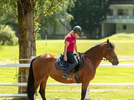 Ragazza in sella a un cavallo castano in un maneggio, con un edificio sullo sfondo. Un'esperienza indimenticabile in un hotel con maneggio.