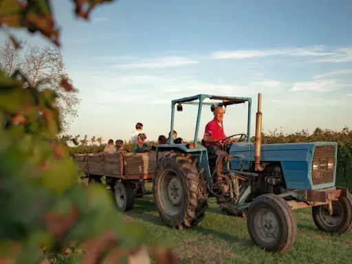 Un trattore blu traina un carro pieno di bambini, un'esperienza indimenticabile di dormire in fattoria con bambini.