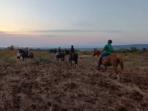 Un gruppo di persone fa una **passeggiata a cavallo in Puglia** al tramonto, godendosi il paesaggio collinare e il mare in lontananza.
