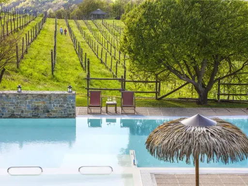 Piscina e vigneti in un agriturismo in Piemonte, ideale per un pranzo rilassante.