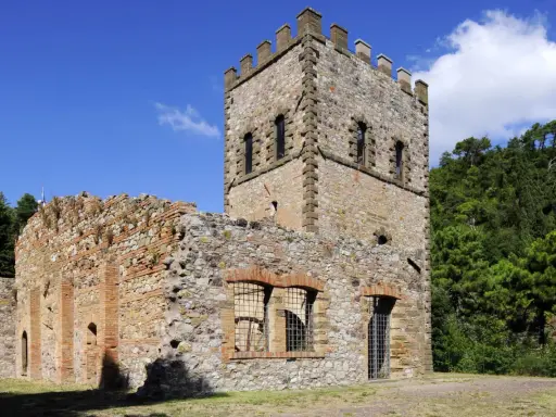 Rovine di un castello con torre merlata, un esempio di cosa vedere a Montecatini Val di Cecina, immerso nel verde.