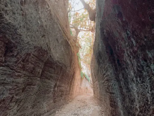 Sentiero scavato nella roccia, con alberi e luce che filtrano dall'alto. Un luogo suggestivo, dove la natura mostra cosa vedere.
