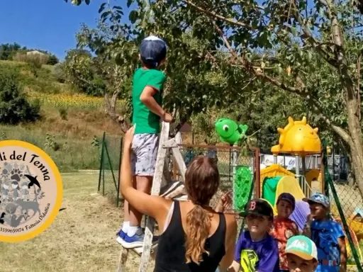 Bambini partecipano a un'attività fattoria didattica, raccogliendo frutti da un albero.