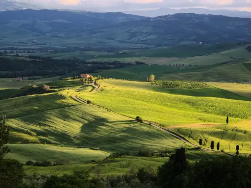 Dolci colline verdi del Val d'Orcia, con una strada tortuosa che porta a una casa colonica. Un paesaggio da sogno da esplorare.