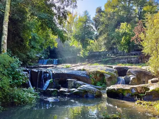 Cascata e rocce muschiose in un bosco lussureggiante, un angolo incantevole della Tuscia Viterbese baciato dal sole.