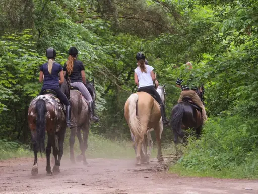 Quattro persone fanno passeggiate a cavallo in un bosco dell'Emilia Romagna, godendosi la natura.