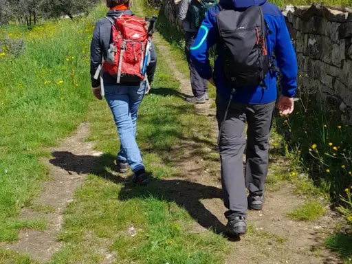 Persone con zaini fanno trekking in Toscana, vicino a Firenze, su un sentiero fiorito.