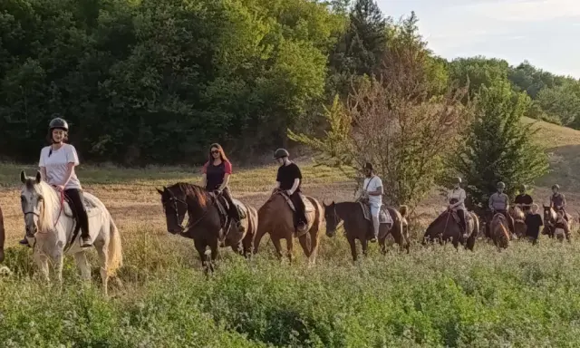 Un gruppo di persone vive un'emozionante passeggiata a cavallo nelle Marche, tra colline verdi e campi dorati.