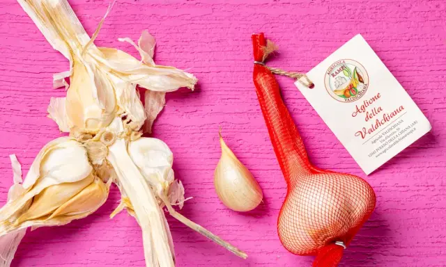 Aglione della Valdichiana, perfetto per le tue aglione ricette. Un bulbo intero e uno spicchio su sfondo rosa.