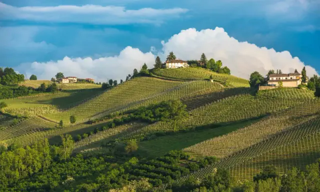 Dolci colline con vigneti ordinati e case in cima, un paesaggio da sogno per un agricampeggio in Piemonte.