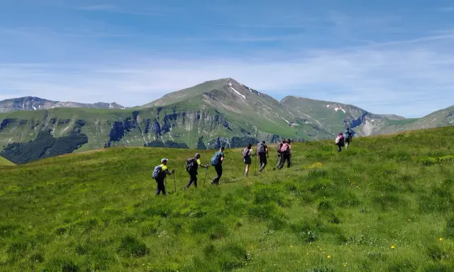 Un gruppo di escursionisti cammina su un prato verdeggiante con montagne sullo sfondo. Le Marche offrono panorami mozzafiato per le escursioni.