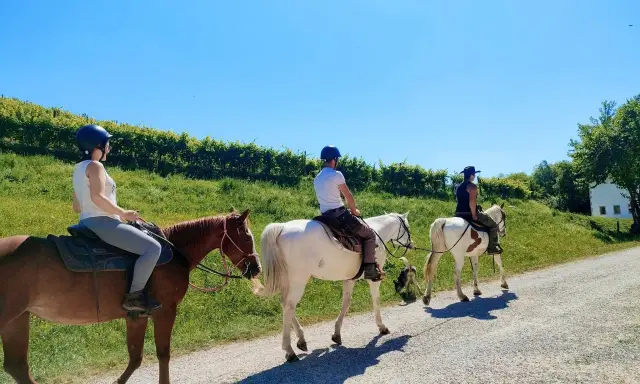 Tre persone in sella a cavalli, godendosi una passeggiata a cavallo in Veneto tra vigneti e colline verdi sotto un cielo azzurro.