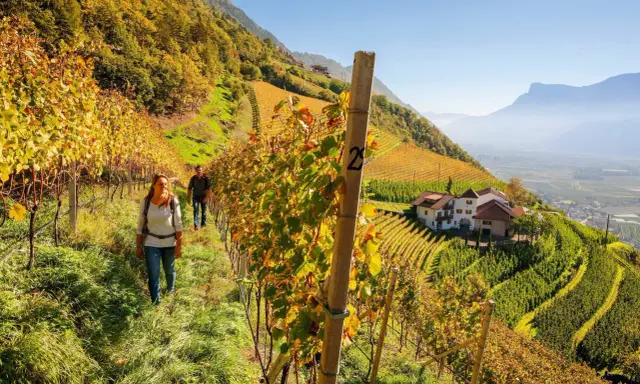 Coppia passeggia tra i vigneti autunnali verso un maso gallo rosso, con montagne sullo sfondo.