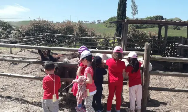 Bambini in visita a una fattoria vicino Firenze, osservano curiosi gli asini e altri animali nel recinto.