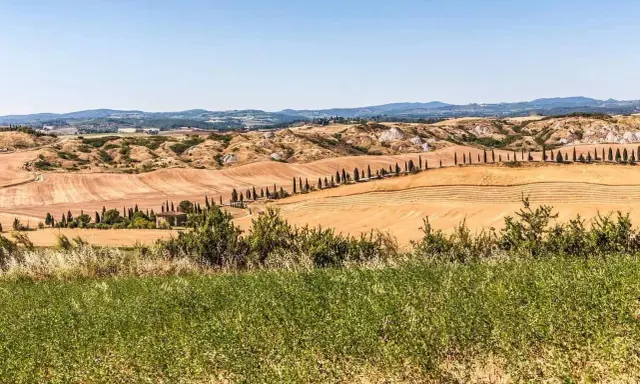 Colline dorate e cipressi iconici, un paesaggio da sogno per un tour toscana 5 giorni.