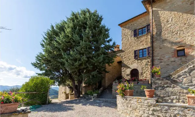 Un casale in pietra con un grande cipresso, tipico degli agriturismi del centro Italia, circondato da fiori in vaso e con un panorama collinare.
