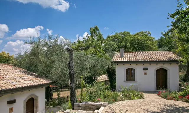 Un angolo di pace tra ulivi e fiori, ideale per scoprire i migliori agriturismi per bambini in Campania.