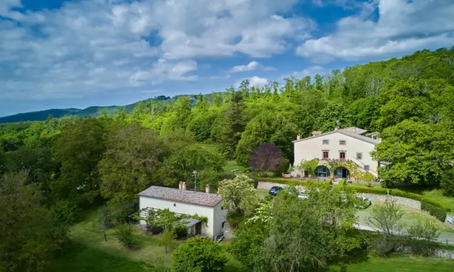 Casale immerso nel verde, tra colline lussureggianti, dove si trova il Monte Amiata. Un luogo di pace e natura.