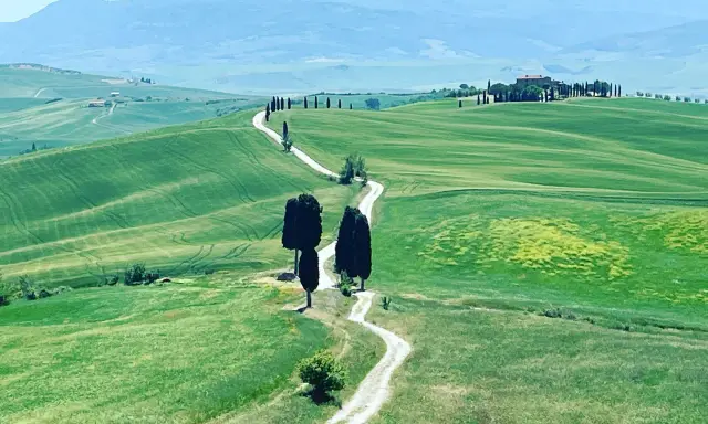 Un sentiero serpeggia tra le dolci colline verdi della Val d'Orcia, ideale per un indimenticabile trekking.