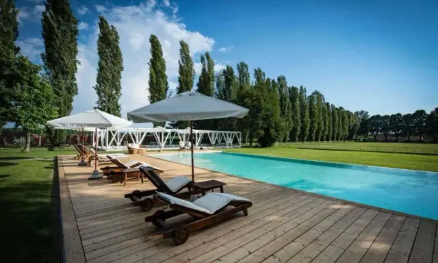 Una splendida piscina in campagna, con lettini prendisole in legno e ombrelloni bianchi, circondata da un prato verde e alti alberi.