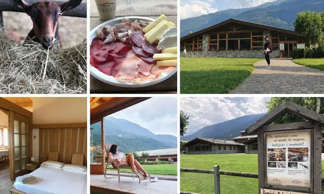 Un agriturismo in montagna in estate: capretta curiosa, tagliere di salumi e formaggi, un edificio moderno, una camera accogliente e una donna rilassata con vista panoramica.