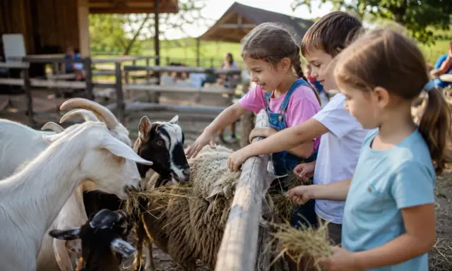 Bambini felici che danno da mangiare a capre e pecore in un agriturismo, un luogo ideale con animali per bambini.